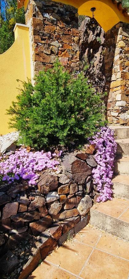 Appartamento Quinta Do Cabril Serpins Esterno foto